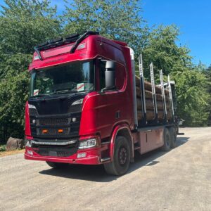 Lkw m. Ladegerät F. Holztransporte